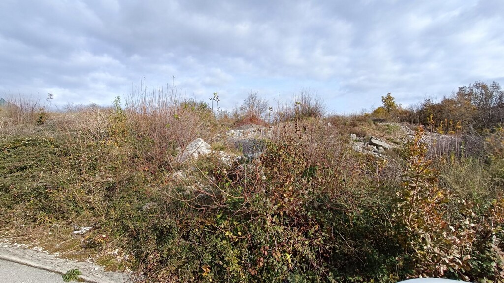 Image 6226211 - 3