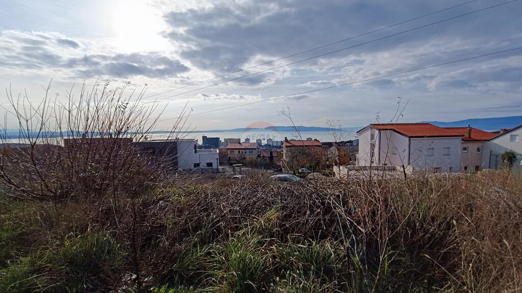 Image 6226211 - 2