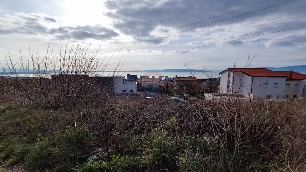 Image 6226211 - 1