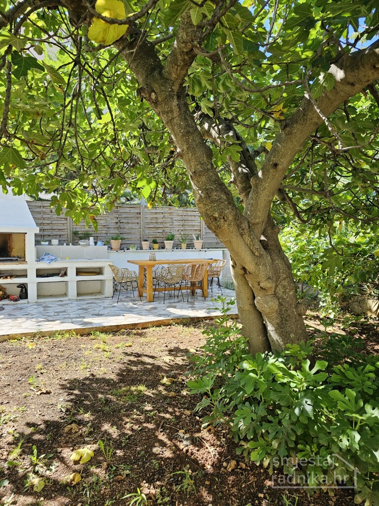 Image 6226230 - 16