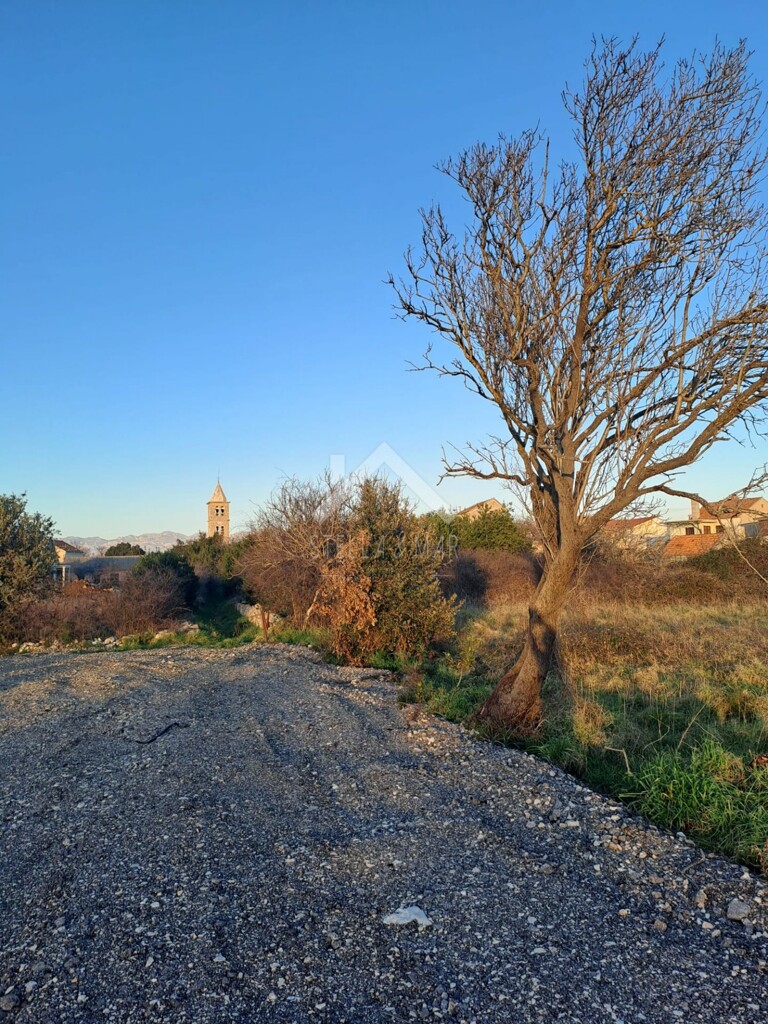 Image 6226689 - 1
