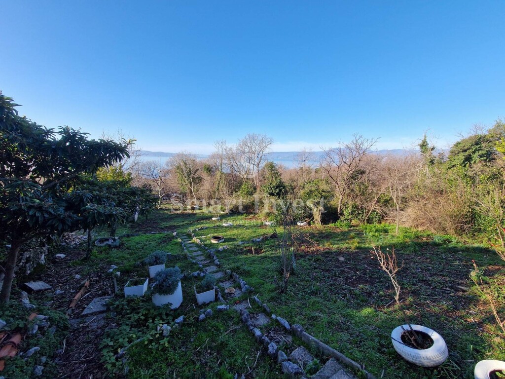 Image 6226731 - 5