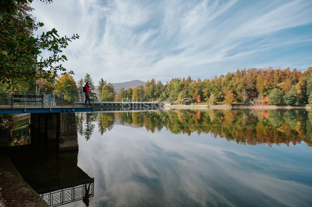 Image 6226738 - 4