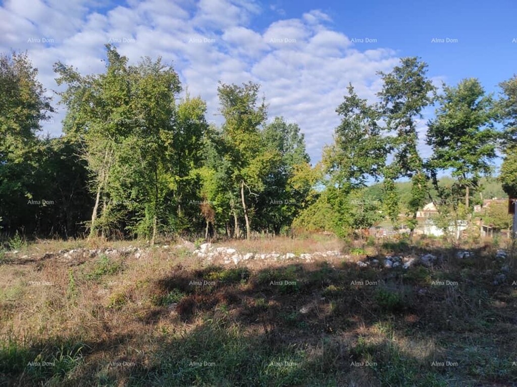 Image 6226787 - 2