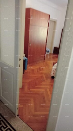 Thumbnail 6226805 - 3