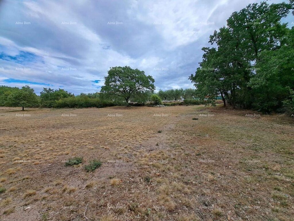 Image 6226815 - 2