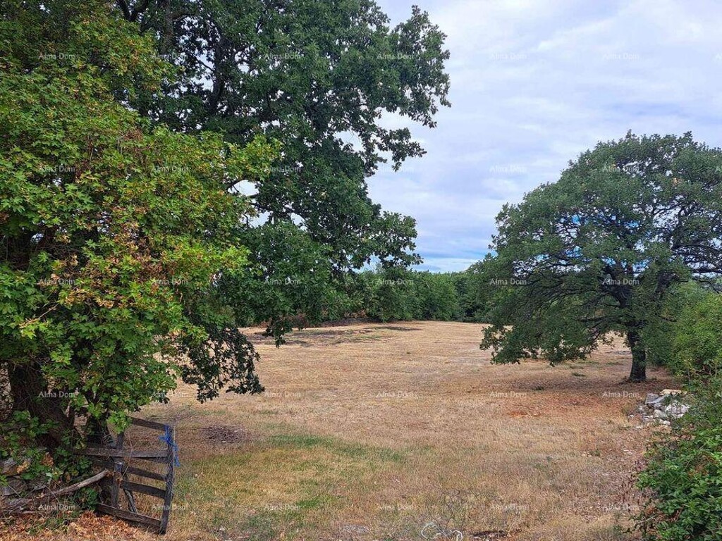 Image 6226815 - 3
