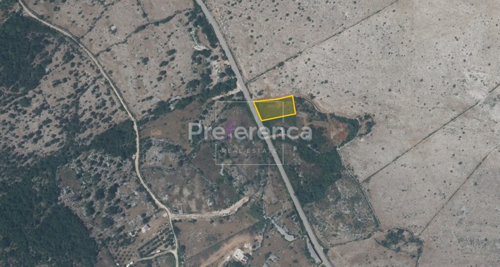 Image 6226861 - 1