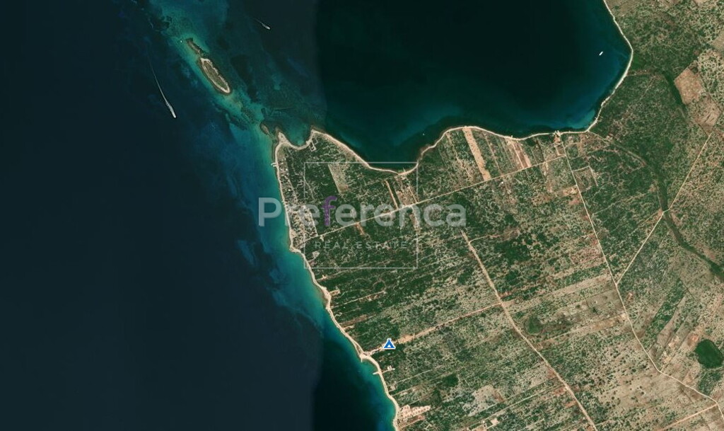 Image 6226891 - 1