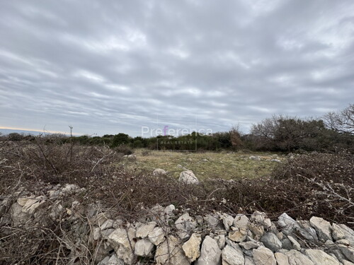 Thumbnail 6226906 - 6