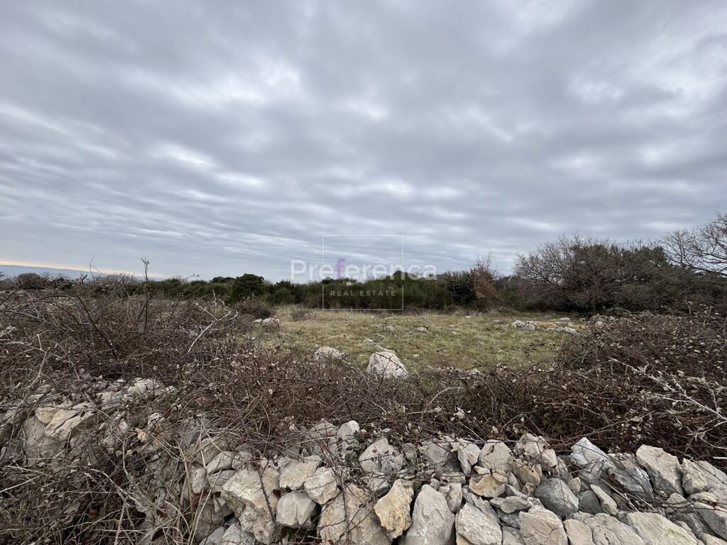 Image 6226906 - 6