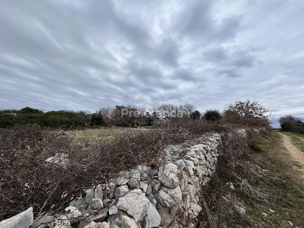 Image 6226906 - 2