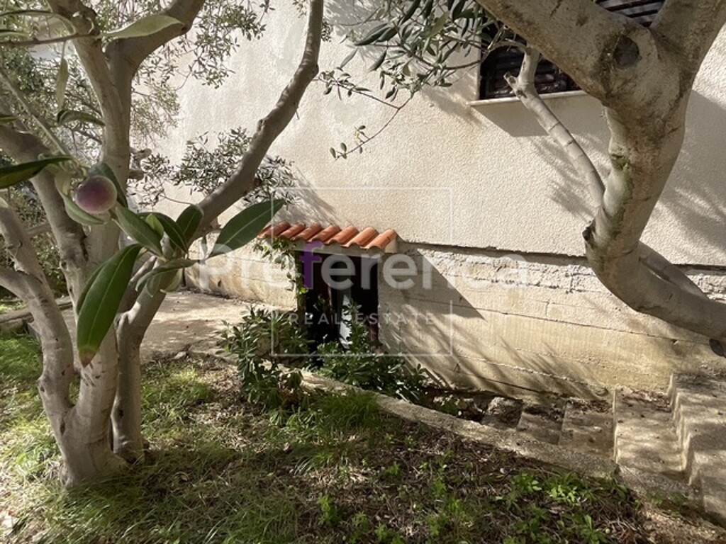 Image 6226914 - 5