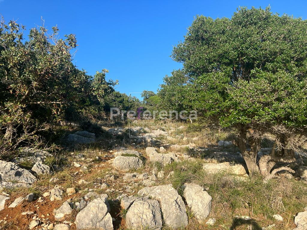 Image 6226930 - 3