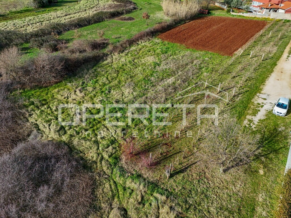 Image 6226961 - 1