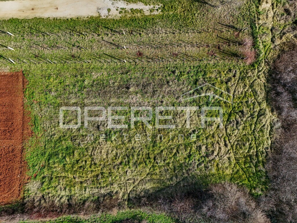 Image 6226961 - 5