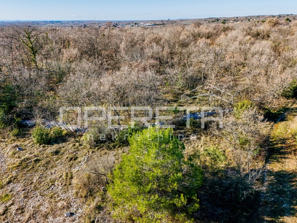 Image 6226974 - 1