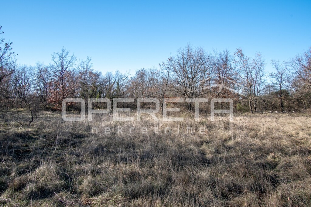 Image 6226974 - 3