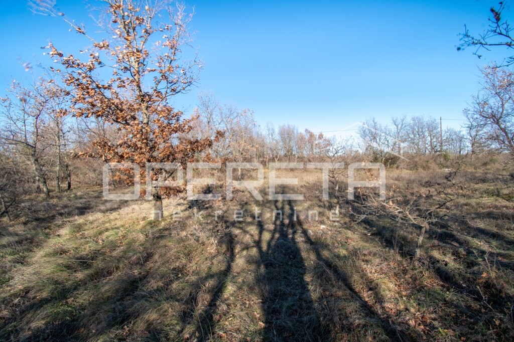 Image 6226974 - 5