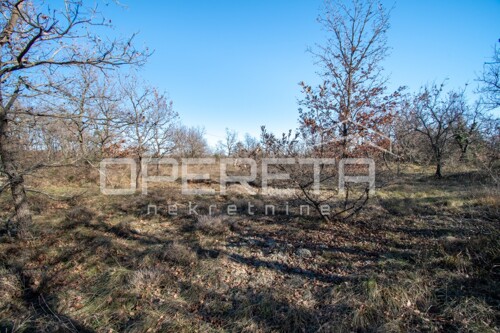 Thumbnail 6226974 - 4
