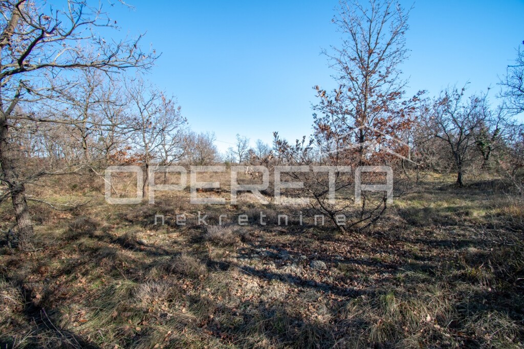 Image 6226974 - 4