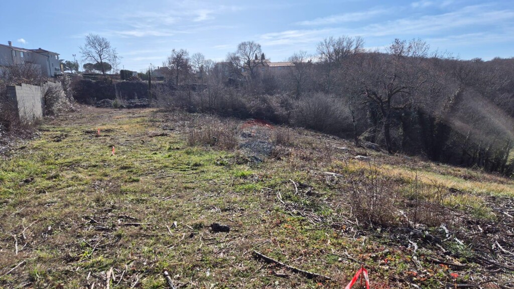 Image 6227020 - 1