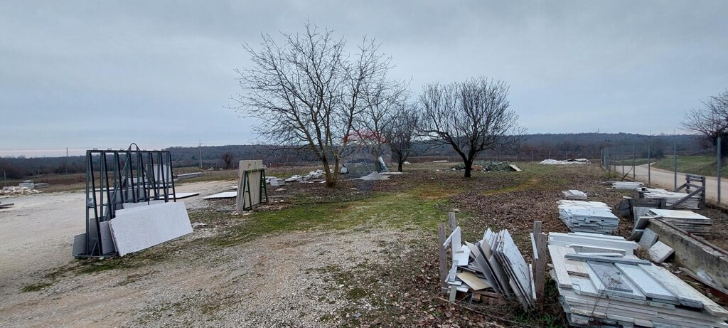 Image 6227022 - 5