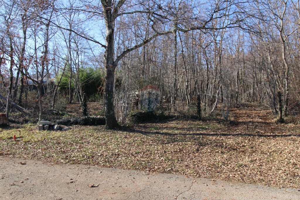 Image 6227024 - 1