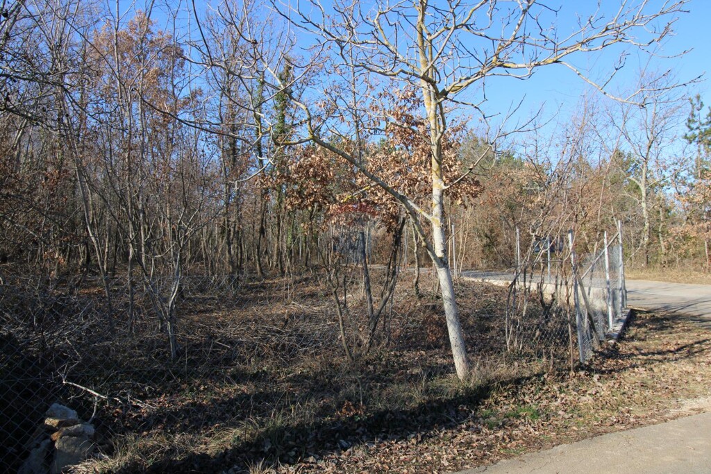Image 6227024 - 5