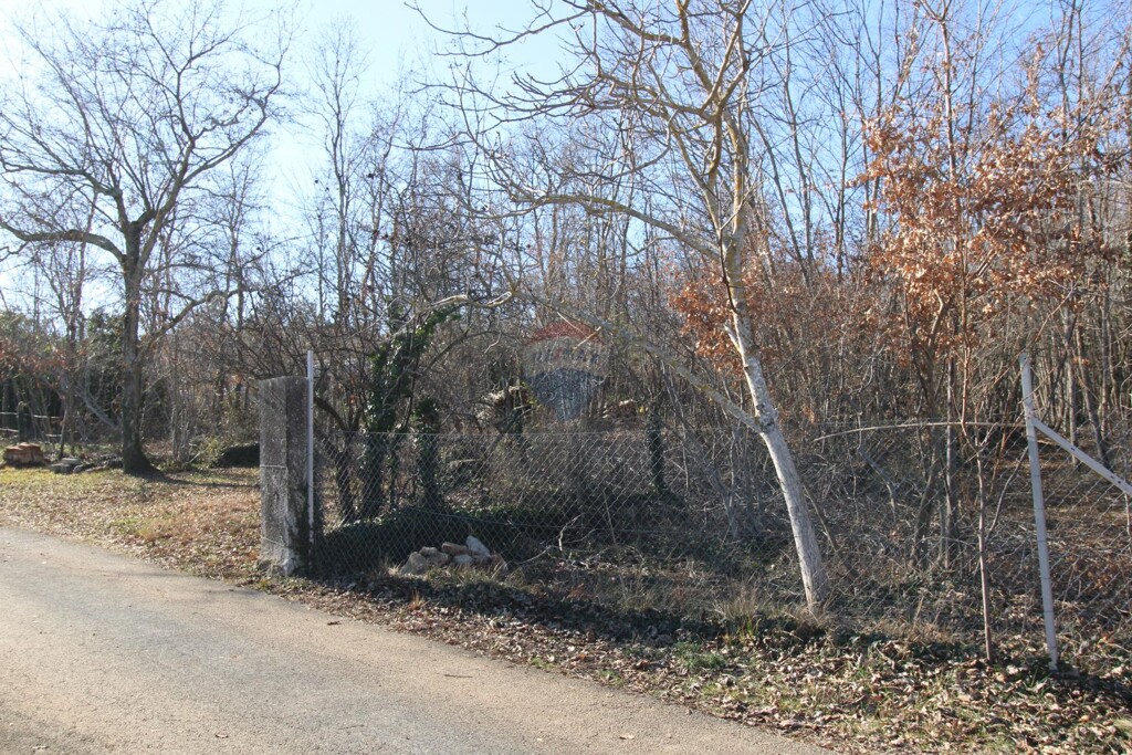 Image 6227024 - 3