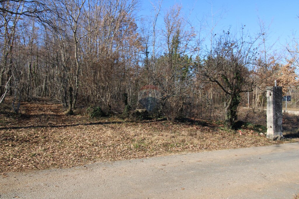 Image 6227024 - 2