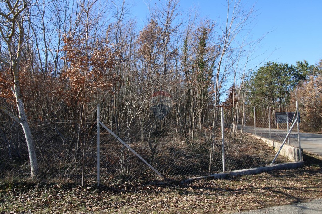 Image 6227025 - 4