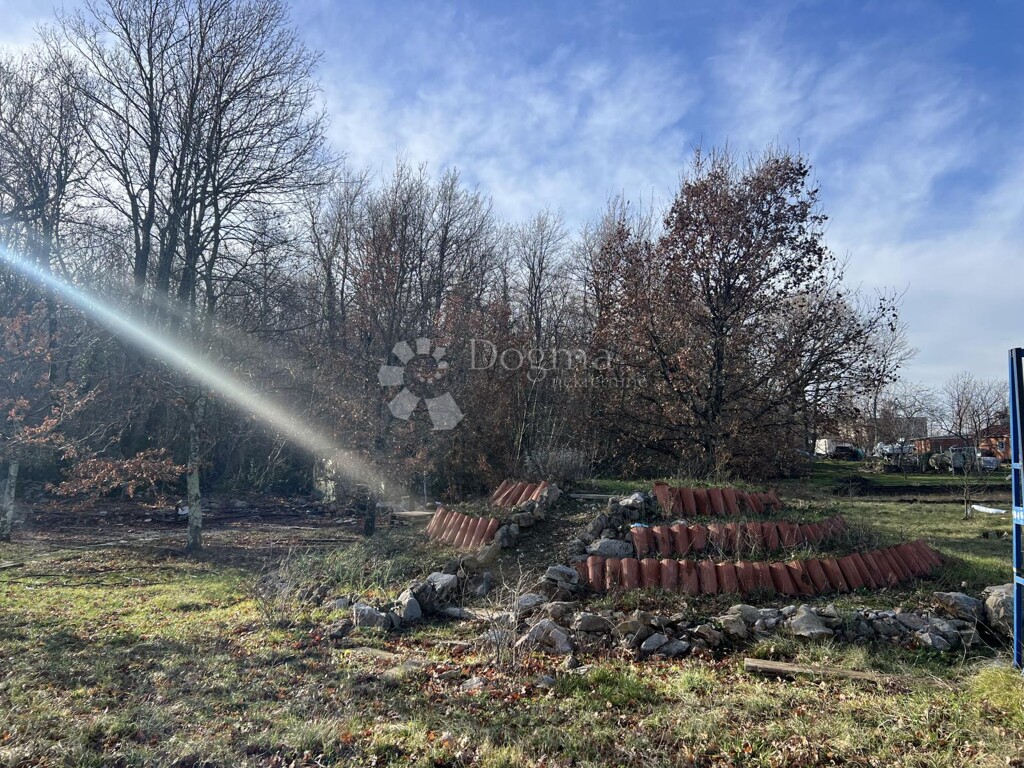 Image 6227177 - 3