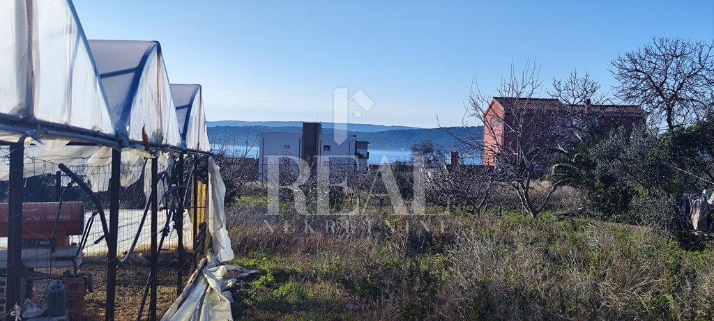 Image 6227238 - 2