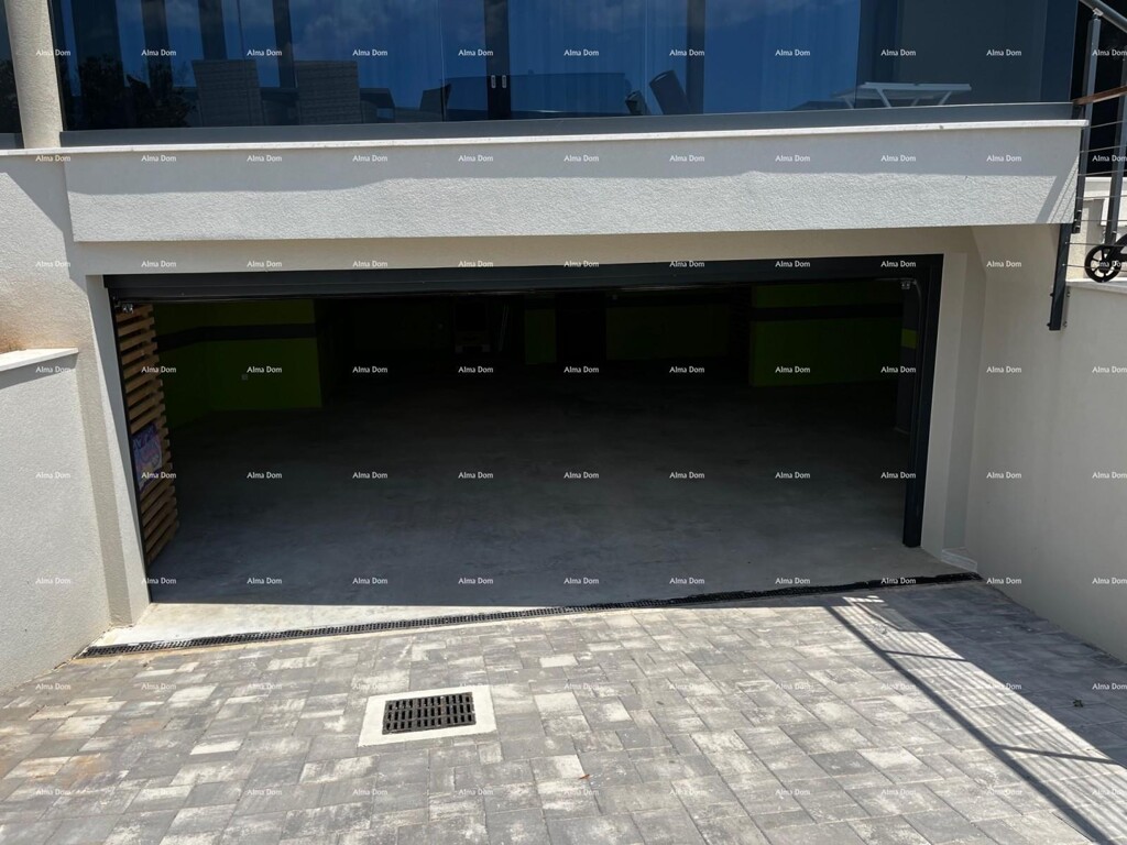 Image 6227246 - 33