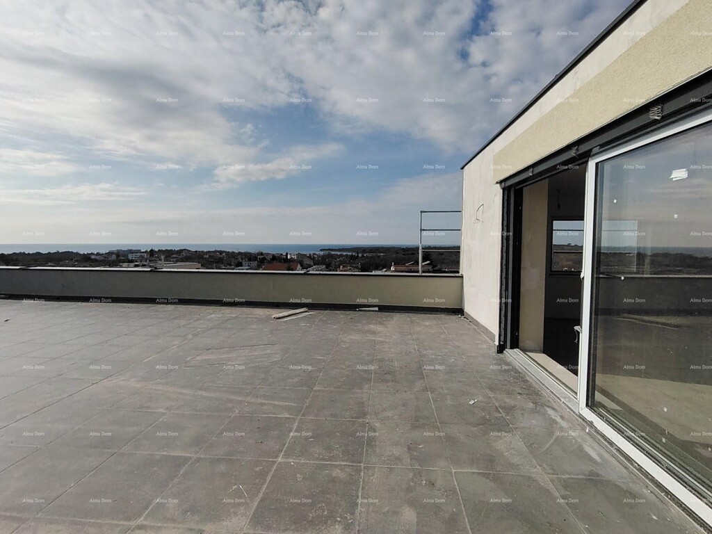 Image 6227254 - 24