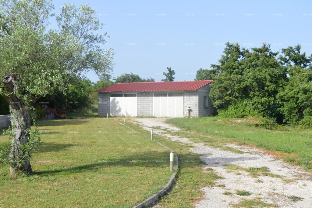 Image 6227260 - 9