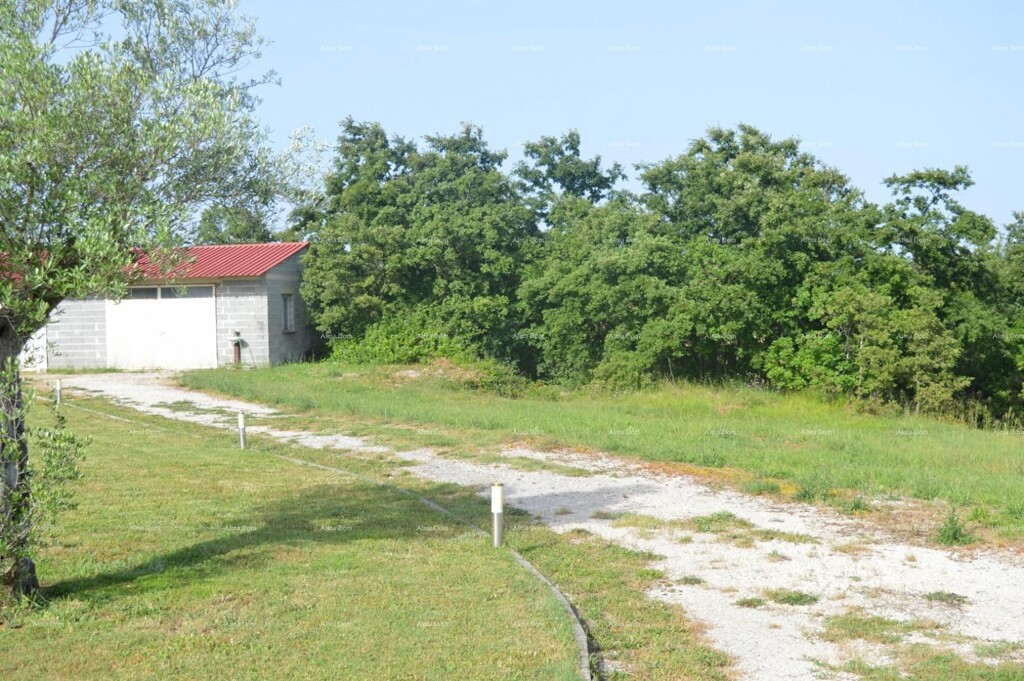 Image 6227260 - 11