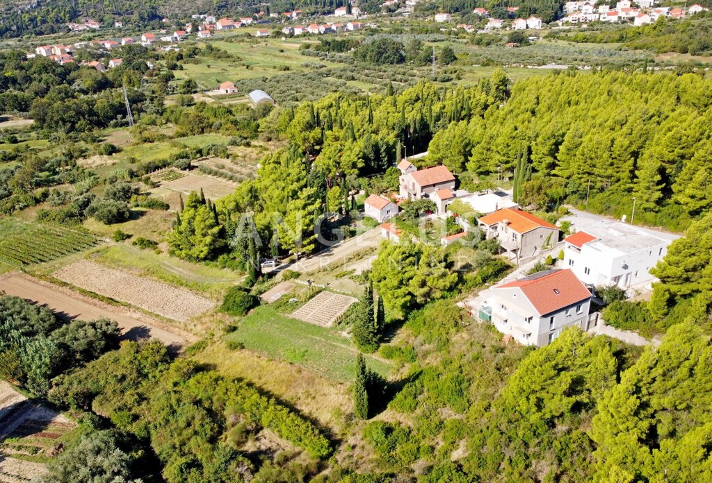 Image 6227264 - 2