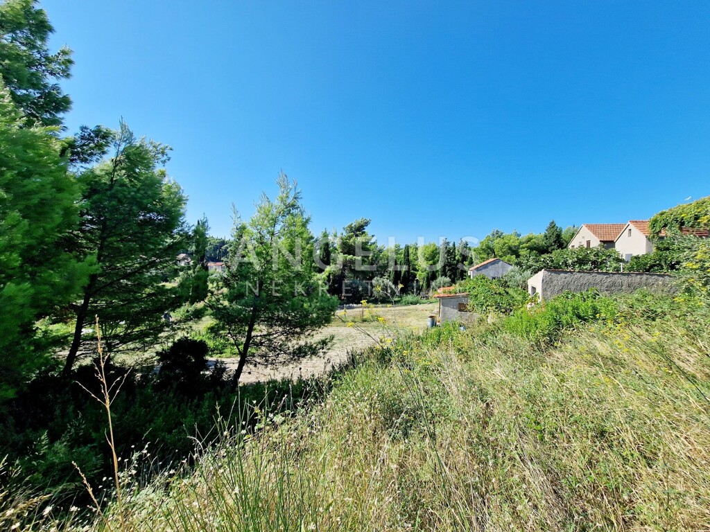 Image 6227264 - 4
