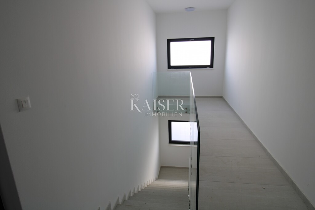 Image 6227272 - 11
