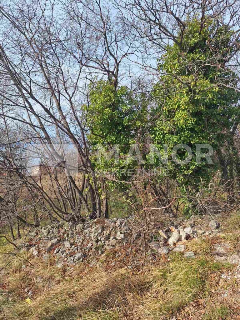Image 6227276 - 2