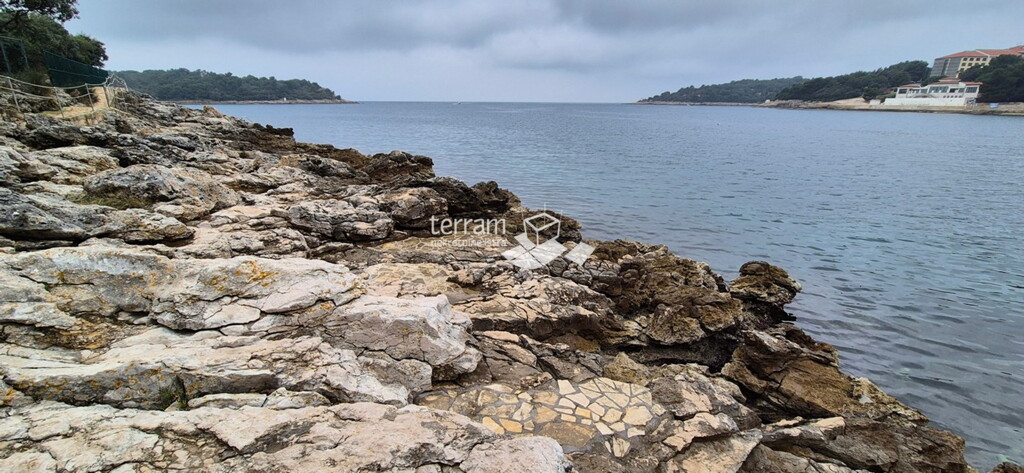 Image 6227295 - 2