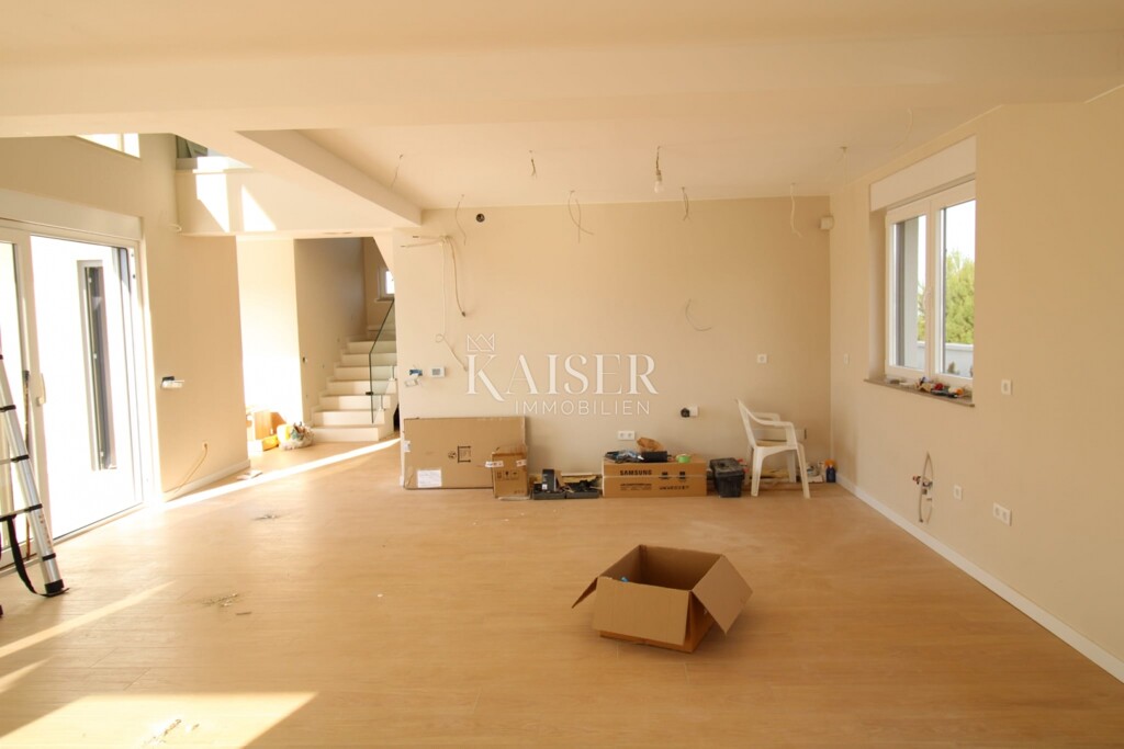 Image 6227498 - 4