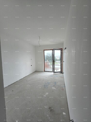 Thumbnail 6227506 - 13