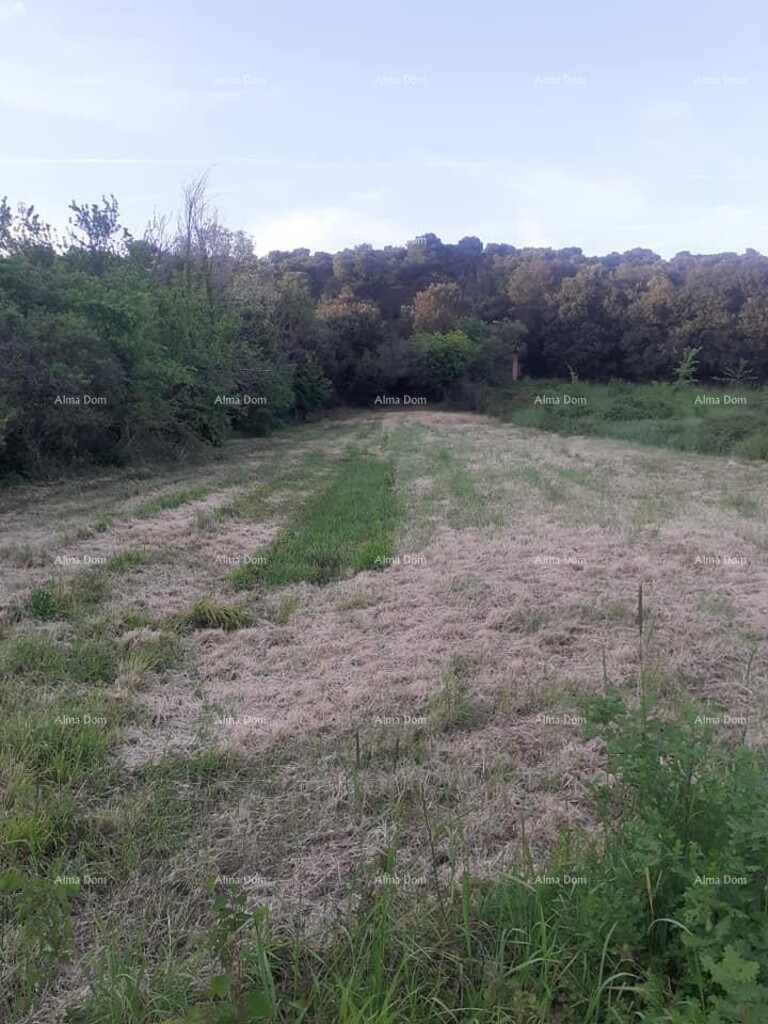 Image 6227512 - 1