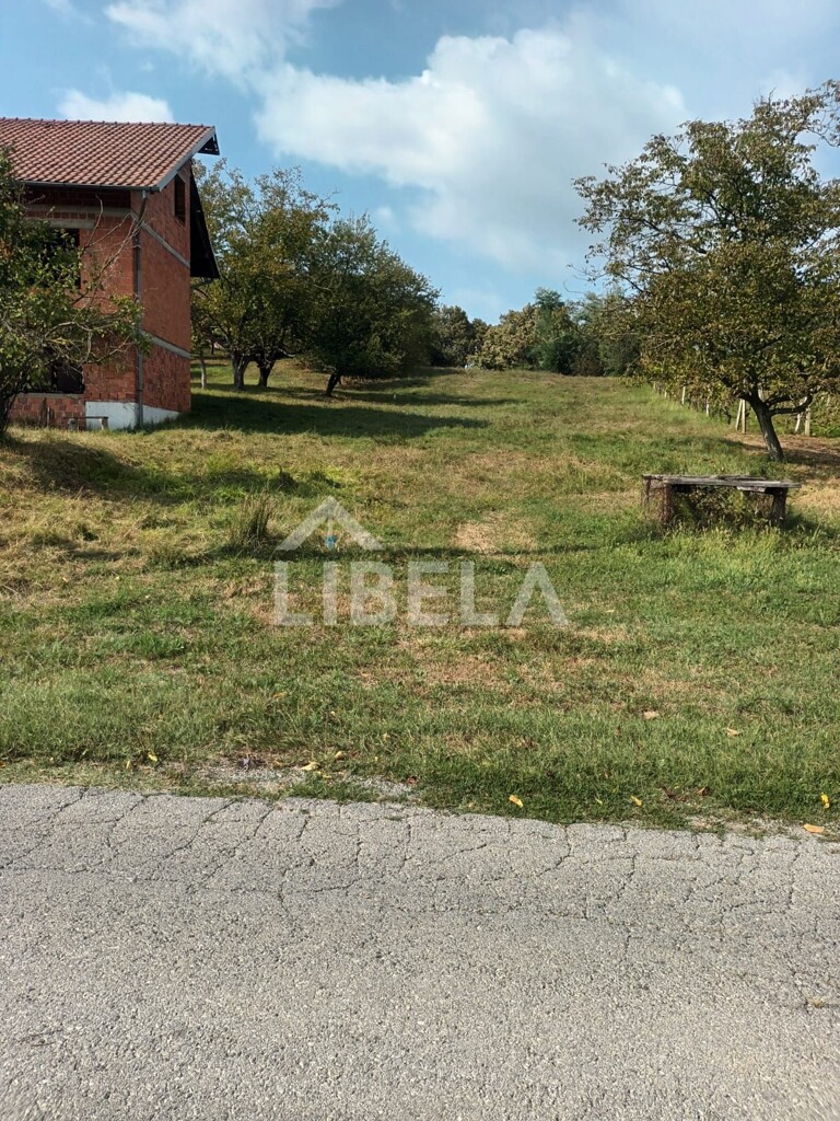 Image 6227517 - 2