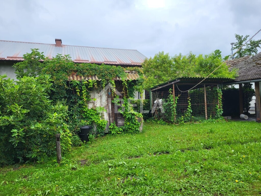Image 6227518 - 4