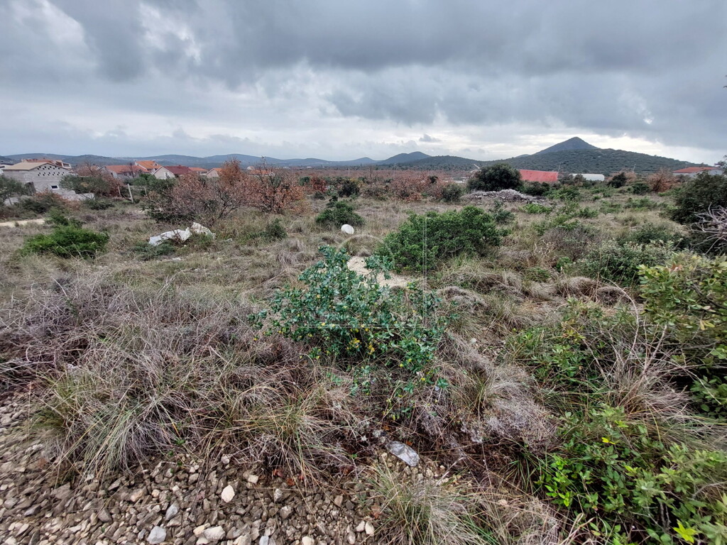 Image 6227775 - 1