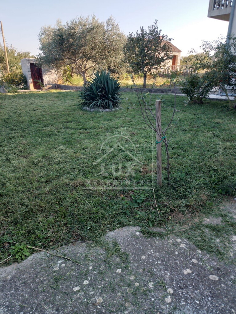 Image 6227783 - 12